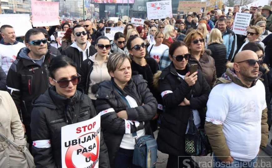 Ispred Parlamenta BiH održani protesti: Hitno obustaviti ubijanja pasa 